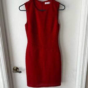 Calvin Klein Bodycon Dress